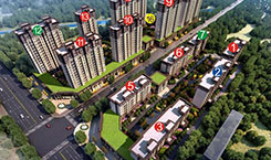 NineGame九游娱乐·春天里